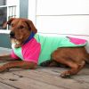 Color-Block Hoodie