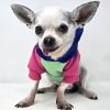 Color-Block Hoodie